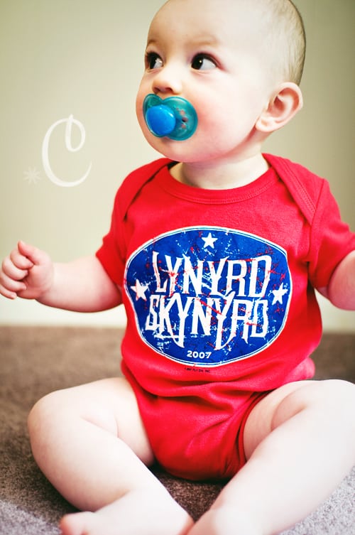 skynard1