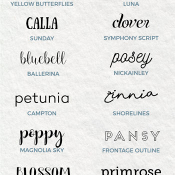 20 Best Free Fonts to Download Today! Loving these beautiful free fonts!